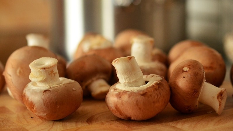 How-Difficult-Is-It-To-Grow-Mushrooms