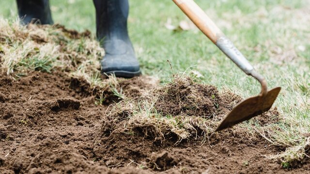 What-Can-I-Do-To-Make-Healthy-Garden-Soil-At-Home