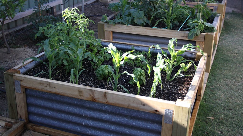 Should-I-Use-a-Plastic-Lining-Under-My-Raised-Garden-Beds