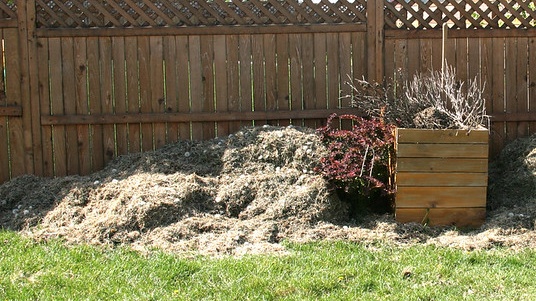 When-Should-I-Dethatch-My-Lawn