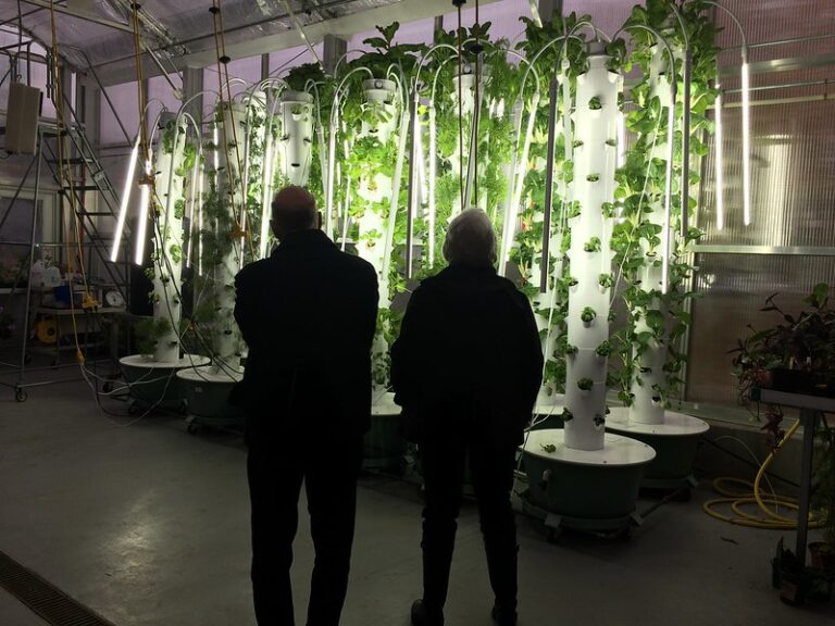 How-do-hydroponic-towers-work