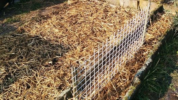 What-Is-The-Right-Way-To-Mulch-Your-Garden