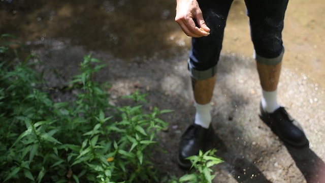 How-To-Fertilize-Tomatoes-In-Containers