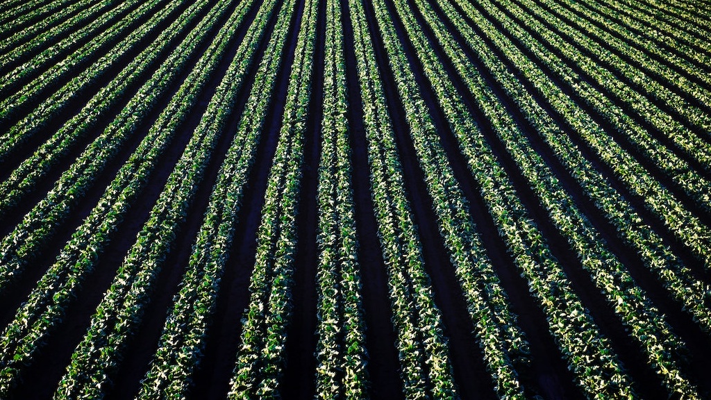 Double-Cropping-Benefits-And-Tips-For-Choosing-Suitable-Crops