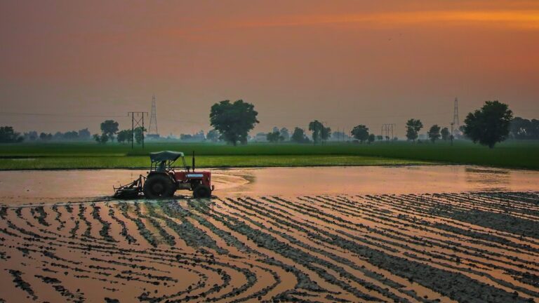 Where-Is-Furrow-Irrigation-Most-Commonly-Used