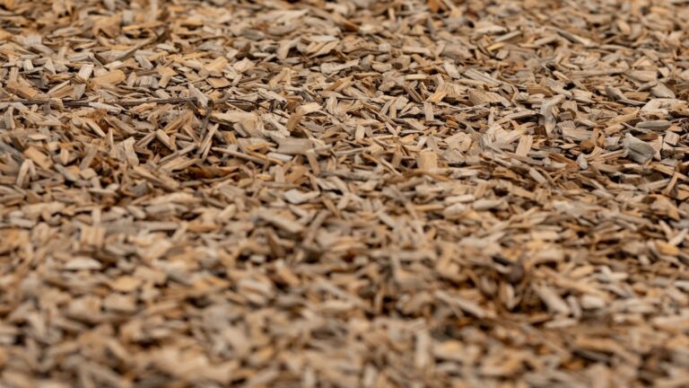 How-Do-Different-Colors-Of-Mulch-Affect-Plant-Growth