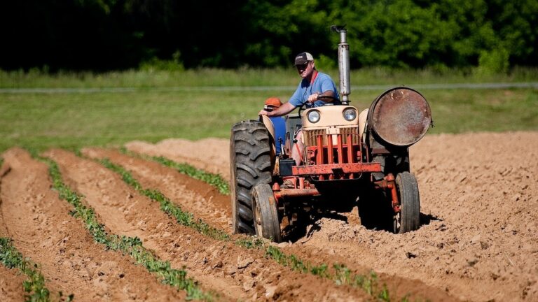 What-Are-The-Problems-Of-Small-Scale-Farming