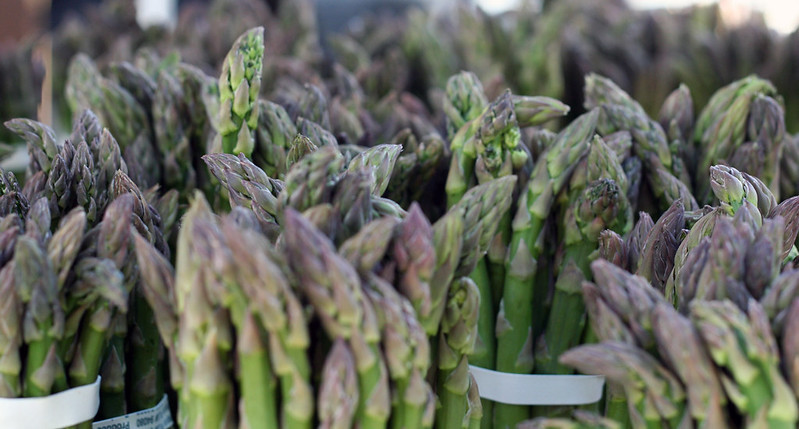 Is Asparagus an Easy Crop to Grow Commercially?