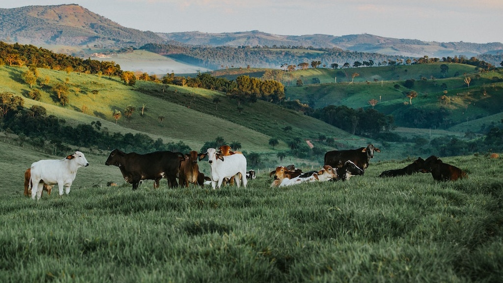 What Does Nomadic Farming Mean